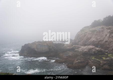 Die nebelige Küste im Fort Wetherill State Park in Jamestown, Rhode Island. Stockfoto