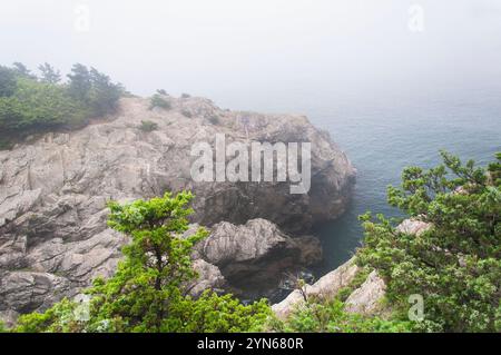 Die nebelige Küste im Fort Wetherill State Park in Jamestown, Rhode Island. Stockfoto