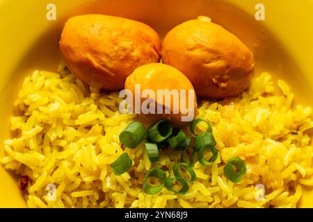 Goiania, Goias, Brasilien – 24. November 2024: Superclose-up auf einem gelben Teller mit Reis mit Pequi. Typisches Essen von Goias. Stockfoto