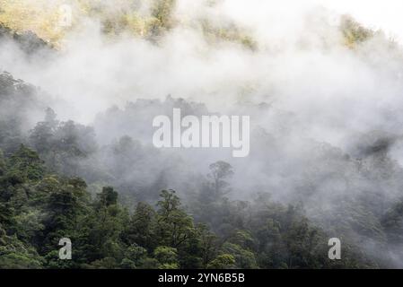 Ein neuer Morgen dämmert am Doutful Sound, Wolken hängen tief in den Bergen, Südinsel von Neuseeland Stockfoto