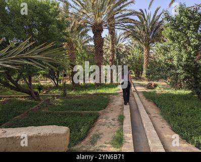 Spaziergang durch den Igrane-Garten in der Nähe von Merzouga, einer typischen landwirtschaftlichen Oase mit kleinen Kanälen, Marokko, Afrika Stockfoto