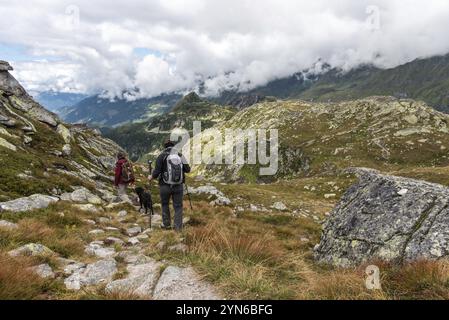 Frau beim Wandern mit ihrem Hund im Nationalpark hohe Tauern, den österreichischen alpen Stockfoto