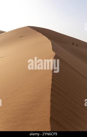 Malerische Düne in der Wüste Erg Chebbi, Teil der afrikanischen Sahara, Marokko, Afrika Stockfoto