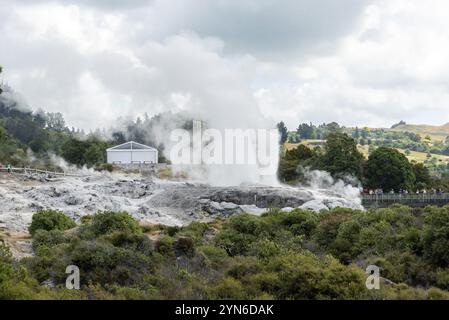 Geothermie-Feld mit Geysir im Dorf Whakarewarewa, Nordinsel Neuseelands Stockfoto