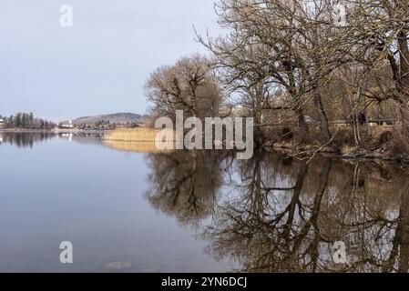 Malerische Reflexion der Vegetation am Schliersee in Bayern, Deutschland, Europa Stockfoto