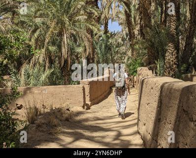 Ein Wanderer in einer landschaftlich reizvollen Landschaft im wunderschönen Draa-Tal, Palmenhaine rund um den Wanderweg, Marokko, Afrika Stockfoto