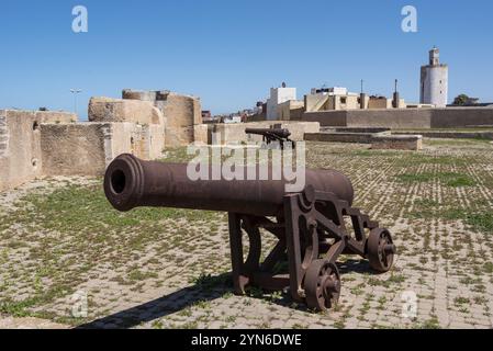 Kanone an der Stadtmauer des mittelalterlichen Viertels El Jadida, Marokko, Afrika Stockfoto