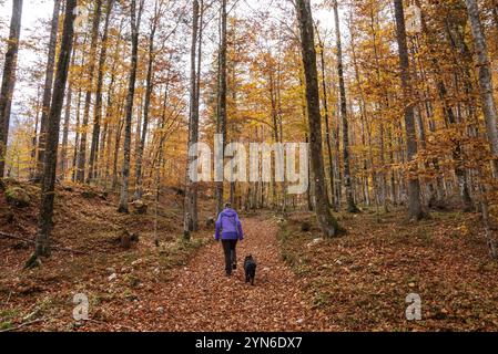 Wandern durch das Vrata-Tal im Herbst, Triglav-Nationalpark in den Julischen Alpen, Slowenien, Europa Stockfoto