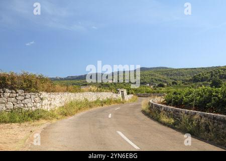 Berühmte historische landwirtschaftliche griechische Ebene in Stari Grad auf der Insel Hvar, Kroatien, Europa Stockfoto