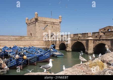 Malerische Scala du Port am Hafen von Essaouira, Marokko, Afrika Stockfoto