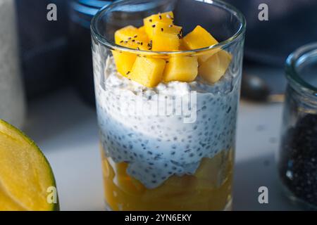 Chia Samenpudding, Mangopüree und Joghurt. Leckeres und gesundes Frühstückskonzept, vegane Rohdesserts ohne Zucker. Hochwertige Fotos Stockfoto