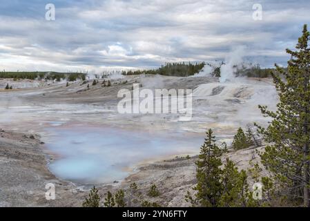 Dampfbad Mud Pod im berühmten Yellowstone National Park, USA, Nordamerika Stockfoto