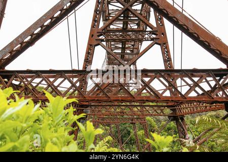 Alte, ungenutzte Eisenzugbrücke an der Old Coach Road, Nordinsel Neuseelands Stockfoto