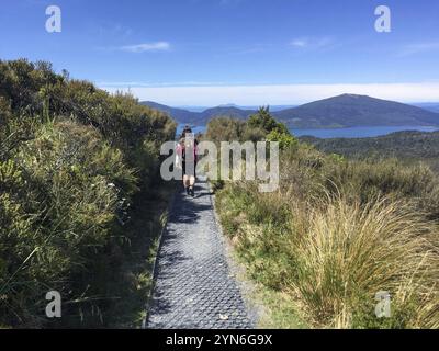 Wandern am Ketetahi Ende des Tongariro National Park, Neuseeland, Ozeanien Stockfoto