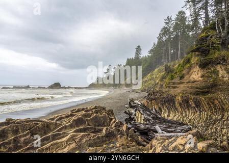 Meditative ruhige felsige Küste im Olympic National Park im US-Bundesstaat Washington, Nordamerika Stockfoto