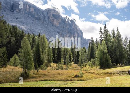 Typische Alp mit Heuschuppen in den Dolomiten im Naturpark Fanes Sennes Prags, Südtirol in Italien Stockfoto