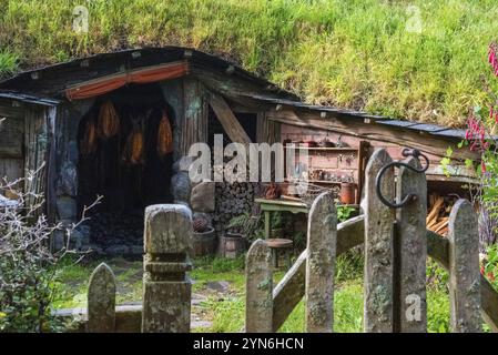 HOBBITON, NEUSEELAND, 20. JANUAR 2023, berühmtes Dorf Hobbiton in Matamata aus den Filmen der Hobbit und Herr der Ringe, Neuseeland, Ozeanien Stockfoto