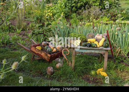 HOBBITON, NEUSEELAND, 20. JANUAR 2023, berühmtes Dorf Hobbiton in Matamata aus den Filmen der Hobbit und Herr der Ringe, Neuseeland, Ozeanien Stockfoto