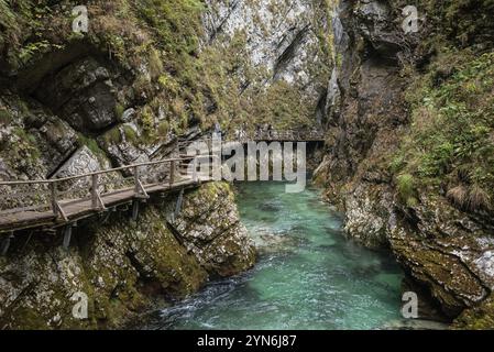 Malerischer Wildfluss, der durch die Vintgar-Schlucht fließt, Slowenien, Europa Stockfoto