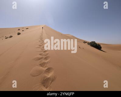 Wanderung auf der Großen Düne von Merzouga in der Erg Chebbi Wüste, marokkanische Sahara Stockfoto