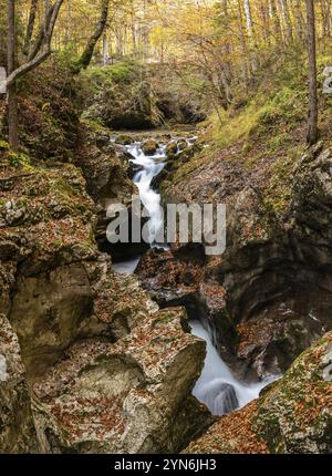 Ein Bach, der durch die wunderschöne Mostnica-Schlucht im Nationalpark Triglav fließt, der sich in den Julischen Alpen in Slowenien befindet Stockfoto