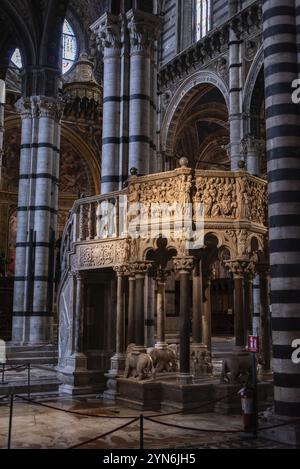 SIENA, ITALIEN, 23. SEPTEMBER 2023, reich verzierte Marmorkanzel in der Kathedrale von Siena in Italien, entworfen von Niccolo Pisano Stockfoto