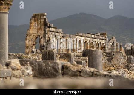 Berühmte Ruinen des Forums in Volubilis, einer alten römischen Stadt in Marokko, Nordafrika Stockfoto