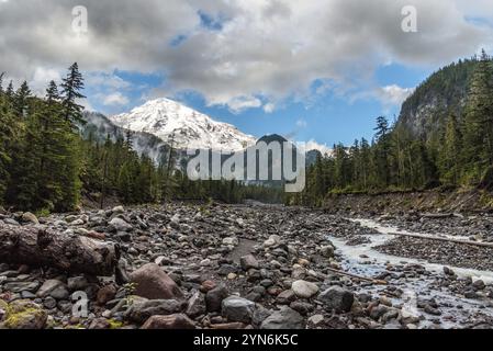 Toller Blick auf den Mount Rainier vom Nisqually River, USA, Nordamerika Stockfoto