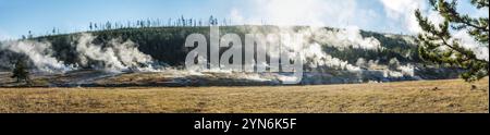 Dampfende Schlammtöpfe am frühen Morgen im Yellowstone-Nationalpark, USA, Nordamerika Stockfoto