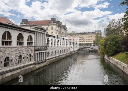 Historisches Hauptgebäude des Zentralmarktes in Ljubljana in Slowenien Stockfoto