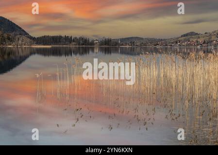 Malerische Reflexion der Vegetation am Schliersee in Bayern, Deutschland, Europa Stockfoto