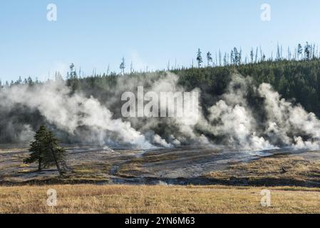 Dampfende Schlammtöpfe am frühen Morgen im Yellowstone-Nationalpark, USA, Nordamerika Stockfoto