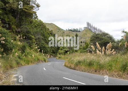 Kurvige Straße im Bezirk Whanganui, Neuseeland, Ozeanien Stockfoto