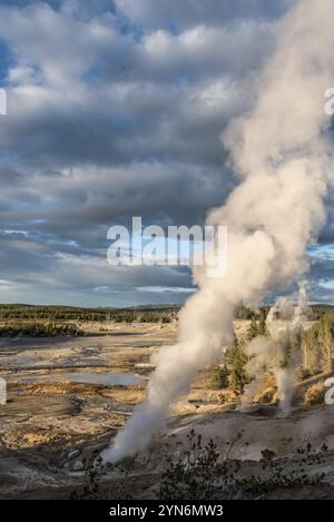 Dampfbad Mud Pod im berühmten Yellowstone National Park, USA, Nordamerika Stockfoto