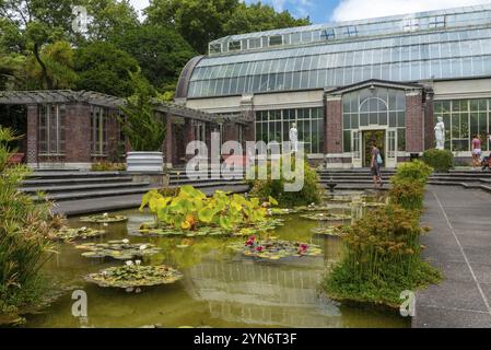 AUCKLAND, NEUSEELAND, 28. JANUAR 2023, wunderschöne Blumen in den Domain Wintergarden in Auckland, Neuseeland, Ozeanien Stockfoto