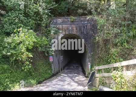 Überreste einer alten Stempelbatterie in Karangahake aus der vergangenen Goldrausch-Zeit, Coromandel Halbinsel, Neuseeland, Ozeanien Stockfoto