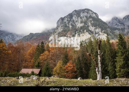 Wandern durch das Vrata-Tal im Herbst, Triglav-Nationalpark in den Julischen Alpen, Slowenien, Europa Stockfoto