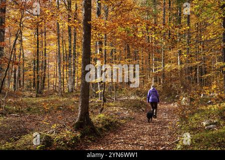 Wandern durch das Vrata-Tal im Herbst, Triglav-Nationalpark in den Julischen Alpen, Slowenien, Europa Stockfoto