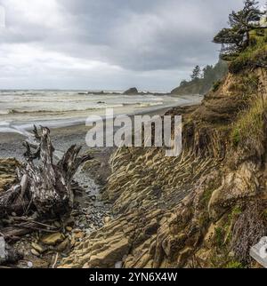 Meditative ruhige felsige Küste im Olympic National Park im US-Bundesstaat Washington, Nordamerika Stockfoto