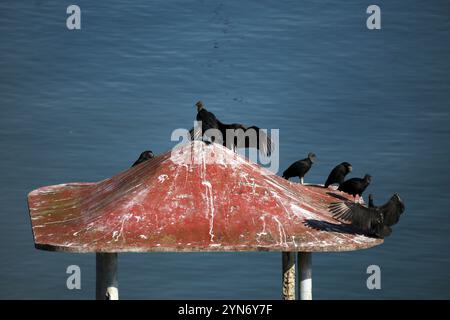 Barra de Cazones, Veracruz, Mexiko Stockfoto