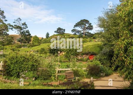 HOBBITON, NEUSEELAND, 20. JANUAR 2023, berühmtes Dorf Hobbiton in Matamata aus den Filmen der Hobbit und Herr der Ringe, Neuseeland, Ozeanien Stockfoto