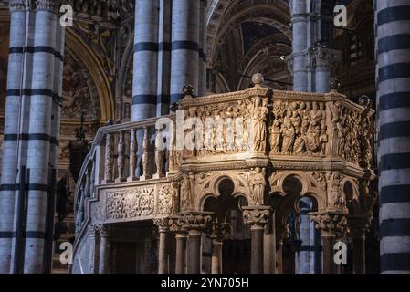 SIENA, ITALIEN, 23. SEPTEMBER 2023, reich verzierte Marmorkanzel in der Kathedrale von Siena in Italien, entworfen von Niccolo Pisano Stockfoto