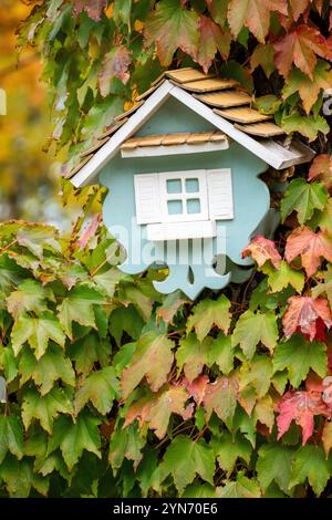 Vogelhaus, Ivy, Herbstlaub. Ein dekoratives Vogelhaus, das im Herbst an einer mit Efeu bedeckten Wand montiert ist. Stockfoto