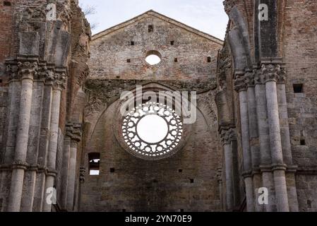 Zerstörte Fensterrosette im verlassenen Zisterzienserkloster San Galgano in der Toskana, Italien, Europa Stockfoto