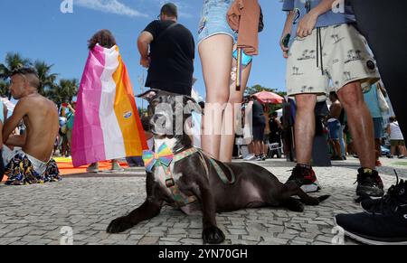 24. November 2024, Rio de Janeiro, Rio de Janeiro, Brasilien: Zehntausende versammelten sich zur Rio LGBTQIA Pride Parade 2024 am Copacabana Beach, um das Thema˜Together to Strength zu feiern. Seit dem ersten Pride 1995 mit 3.000 Menschen haben sich Brasiliens Pride-Veranstaltungen zu den größten Massendemonstrationen des Landes entwickelt, bei denen Bürgerschaft, Vielfalt und der Kampf für LGBT-Rechte hervorgehoben werden. Heute finden jährlich über 150 Pride-Veranstaltungen in ganz Brasilien statt. (Credit Image: © Bob Karp/ZUMA Press Wire) NUR REDAKTIONELLE VERWENDUNG! Nicht für kommerzielle ZWECKE! Stockfoto