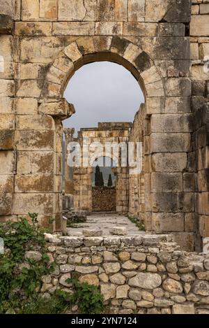 Berühmte Ruinen des Forums in Volubilis, einer alten römischen Stadt in Marokko, Nordafrika Stockfoto