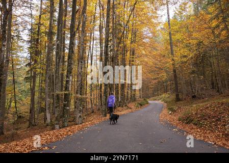 Wandern durch das Vrata-Tal im Herbst, Triglav-Nationalpark in den Julischen Alpen, Slowenien, Europa Stockfoto