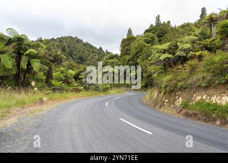 Kurvige Straße im Bezirk Whanganui, Neuseeland, Ozeanien Stockfoto