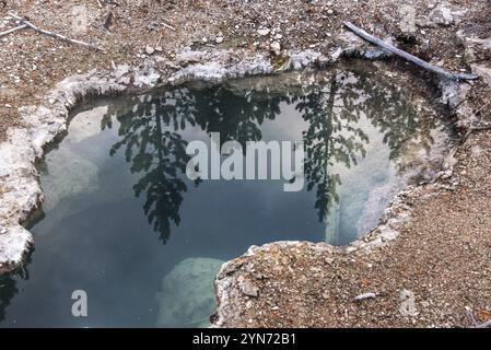 Dampfbad Mud Pod im berühmten Yellowstone National Park, USA, Nordamerika Stockfoto