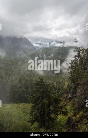 Herrliche Berglandschaft rund um den Mount Rainier National Park, USA, Nordamerika Stockfoto